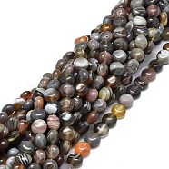 Natural Botswana Agate Beads Strands, Flat Round, 8x4~5mm, Hole: 1mm, about 51pcs/strand, 15.55''(39.5cm)(G-E576-13)