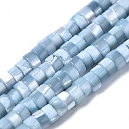 Natural Trochus Shell Beads Strands, Dyed, Flat Round/Disc, Heishi Beads, Light Steel Blue, 4x2mm, Hole: 0.8mm, about 154~160pcs/strand, 14.96~15.75 inch(38~40cm)(X-SHEL-S278-027I)