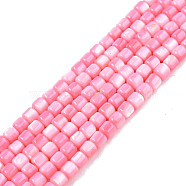 Natural Freshwater Shell Beads Strands, Dyed, Column, Pink, 3.5x3.5mm, Hole: 0.8mm, about 110~113pcs/strand, 14.69 inch~15.08 inch(37.3~38.3cm)(X-SHEL-N003-33-A09)