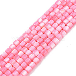 Natural Freshwater Shell Beads Strands, Dyed, Column, Pink, 3.5x3.5mm, Hole: 0.8mm, about 110~113pcs/strand, 14.69 inch~15.08 inch(37.3~38.3cm)(X-SHEL-N003-33-A09)