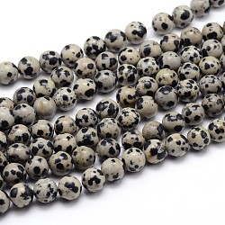 Natural Dalmatian Jasper Round Bead Strands, 8mm, Hole: 1mm, about 45pcs/strand, 14.96 inch(38cm)(X-G-J303-19-8mm)