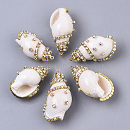 Natural Conch Shell Pendants, with Brass Rhinestone Cup Chains and Iron Loops, Golden, Seashell Color, 33~40x20~23.5x16.5~19mm, Hole: 1.6mm(SSHEL-T014-03)