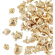 PandaHall Elite 40Pcs 10 Style 304 Stainless Steel Pendants, Elephant & Moon & Dolphin, Golden, 9~26.5x7~14x3.3~5mm, hole: 1~1.5mm, 4pcs/style(STAS-PH0004-37)