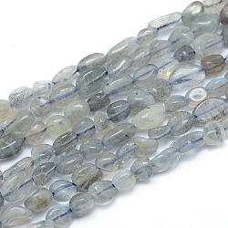 Natural Labradorite Beads Strands, Tumbled Stone, Nuggets, 5~12x6~7mm, Hole: 0.8mm, about 46~57pcs/strand, 15.16 inch(38.5cm)(X-G-L550A-06)