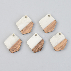 Opaque Resin & Walnut Wood Pendants, Polygon, Floral White, 21x18.5x3mm, Hole: 2mm(RESI-S389-033A-C04)