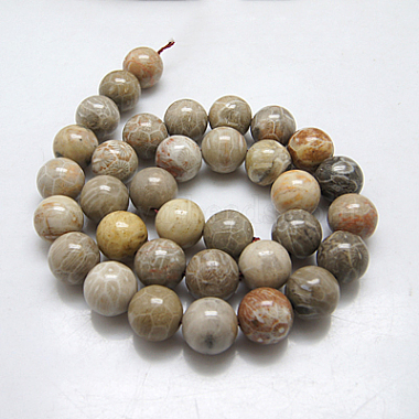 Brins de perles rondes de corail fossile naturel(G-N0166-05-8mm)-3