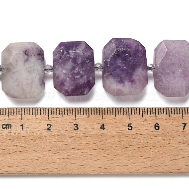 Natural Lepidolite Beads Strands(G-H078-B14-01)-5