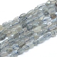 labradorite naturelle brins de perles(X-G-L550A-06)-1