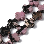 Natural Rhodonite Beads Strands, Cross, 13~13.5x12.5~13.5x4~5mm, Hole: 1mm, about 18pcs/strand, 9.21''(23.4cm)(G-M418-B01-01)