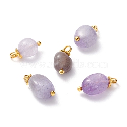 Natural Amethyst Charms, with Brass Eye Pin & Alloy Daisy Spacer Beads, Golden, Nuggets, 12.5~15.5x7~9x5.5~6.5mm, Hole: 1.8mm(PALLOY-JF01092-02)