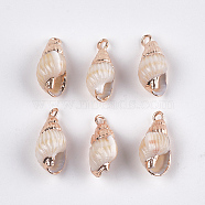 Electroplate Spiral Shell Pendants, with Iron Findings, Light Gold, Seashell Color, 18~25x8~11x7~10mm, Hole: 1.8mm(SSHEL-T006-12)