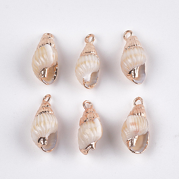 Electroplate Spiral Shell Pendants, with Iron Findings, Light Gold, Seashell Color, 18~25x8~11x7~10mm, Hole: 1.8mm