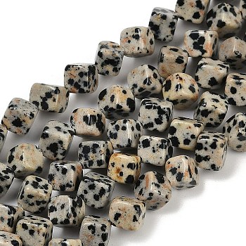 Natural Dalmatian Jasper Beads Strands, Cube, 7.5~8.5x6.5~8.5x5.5~6.5mm, Hole: 0.7mm, about 52~56pcs/strand, 15.16~15.87''(38.5~40.3cm)