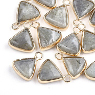 Natural Labradorite Pendants, with Brass Findings, Triangle, Golden, 16~16.5x12.5x5mm, Hole: 2mm(X-G-S344-10C)