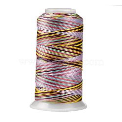 Segment Dyed Round Polyester Sewing Thread, for Hand & Machine Sewing, Tassel Embroidery, Colorful, 12-Ply, 0.8mm, about 300m/roll(OCOR-Z001-B-23)