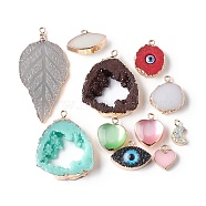 Resin Pendants, Mixed Shapes, Mixed Color, 14.5~57x8~27x3.5~4mm, Hole: 1.8mm(RESI-XCP0001-72)