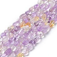 Natural Ametrine Beads Strands, Nuggets, 7~14x4~9x4~7mm, Hole: 1mm, about 40~50pcs/strand, 15.16~15.55 inch(38.5~39.5cm)(G-I351-A11)