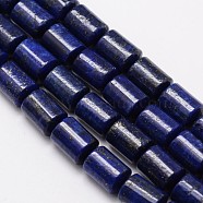 Natural Lapis Lazuli Column Bead Strands, Dyed, 12x8mm, Hole: 1mm, about 32pcs/strand, 15.1 inch(G-M264-16)