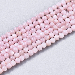 Natural Freshwater Shell Beads Strands, Dyed, Round, Pink, 2.5mm, Hole: 0.7mm, about 150~190pcs/Strand, 14.96 inch~15.75 inch(BSHE-T009-01D)