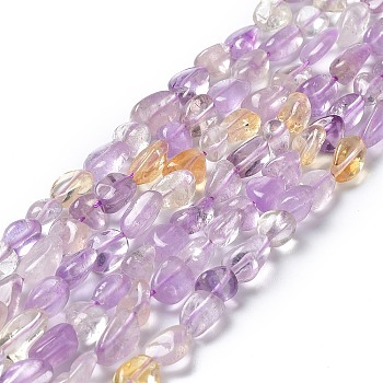 Natural Ametrine Beads Strands, Nuggets, 7~14x4~9x4~7mm, Hole: 1mm, about 40~50pcs/strand, 15.16~15.55 inch(38.5~39.5cm)