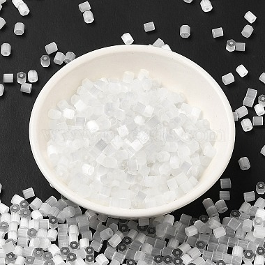 Glass Seed Beads(X1-SEED-H002-D-A801)-2