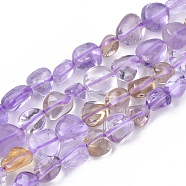Natural Ametrine Beads Strands, Nuggets, Tumbled Stone, 5~11x5~8x3~6mm, Hole: 0.8mm, about: 52~56pcs/Strand, 15.94 inch(40.5cm)(G-S363-052)