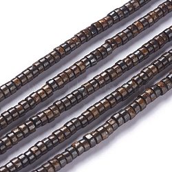 Natural Bronzite Bead Strands, Rondelle, 4x2~2.5mm, Hole: 0.8mm, about 164pcs/strand, 15.75''(40cm)(G-P444-06B)