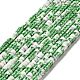 Electroplated Natural Howlite Bead Strands(G-D470-01C)-1
