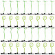 Craspire 32pcs 2 style bean sprout pinces à cheveux alligator en plastique(PHAR-CP0001-19)-1