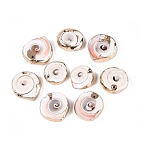 Electroplate Natural Shiva Eye Shell Pendants, Shell Shape Charms, with Iron Loops and Brass Findings, Seashell Color, Light Gold, 20~27x20~25x6~8mm, Hole: 0.9~1.4mm(SSHEL-Q100-12KCG)