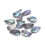 Natural Abalone Shell/Paua Shell Pendants, Drop, Twist, 28.5~31x16~19.5x1.5~1.8mm, Hole: 1mm(SSHEL-F303-04)