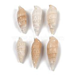 Natural Spiral Shell Beads, Shell Shape, Top Drilled, Beige, 39~53x13~18mm, Hole: 1.5mm, about 83pcs/500g(SHEL-K009-17B)