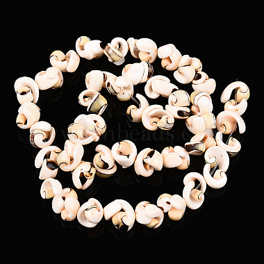 natürliche Spirale Shell Perlen Stränge(SSHEL-G024-02)-5