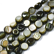 Natural Trochid Shell/Trochus Shell Beads Strands, Dyed, Flat Round, Dark Olive Green, 5~9x1~6mm, Hole: 0.8mm, about 49~50pcs/strand, 15.16 inch~15.87 inch(38.5cm~40.3cm)(SHEL-S258-083-B01)