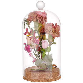 Glass Dome Cover, Decorative Display Case, Cloche Bell Jar Terrarium with Cork Base, BurlyWood, 90x178mm