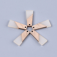 Resin & Wood Pendants, Trapezoid, WhiteSmoke, 30x12x3mm, Hole: 2mm(X-RESI-S358-59A)