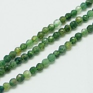 Natural Moss Agate Beads Strands, Faceted, Round, 3mm, Hole: 0.7mm, about 123~130pcs/ strand, 15.7 inch(X-G-K020-3mm-32)
