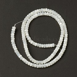 Natural Trochid Shell/Trochus Shell Beads, Heishi Beads, Flat Round/Disc, Creamy White, 4x2.5mm, Hole: 0.9mm, about 158pcs/strand, 15.47''(39.3cm)(BSHE-B005-12)