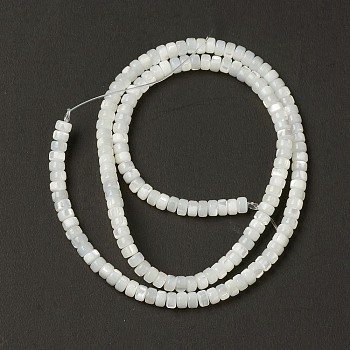 Natural Trochid Shell/Trochus Shell Beads, Heishi Beads, Flat Round/Disc, Creamy White, 4x2.5mm, Hole: 0.9mm, about 158pcs/strand, 15.47''(39.3cm)
