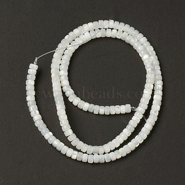4mm Creamy White Disc Trochus Shell Beads