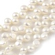 Natural Cultured Freshwater Pearl Beads Strands(PEAR-A006-20)-1