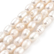 Natural Cultured Freshwater Pearl Beads Strands, Rice, Grade A, Snow, 4~5mm, Hole: 0.6mm, about 26~27pcs/strand, 7.09''~7.28''(18~18.5cm)(PEAR-P062-06A)