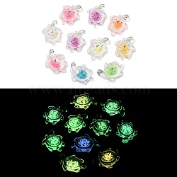 Luminous Transparent Acrylic Pendants, Glow in the Dark, Tortoise, Mixed Color, 30.5x23.5x8.5mm, Hole: 2mm(TACR-P010-02)