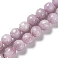 Natural Lepidolite Beads Strands, Round, 8~9mm, Hole: 0.9mm, about 46pcs/strand, 15.28 inch(38.8cm)(G-H247-11D)