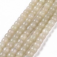 Natural Gemstone Beads Strands, Column, 6x8mm, Hole: 1.2mm, about 60pcs/strand, 14.76 inch(37.5cm)(G-G990-C05)