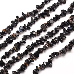 Natural Black Onyx Chip Bead Strands Dyed & Heated, 5~8x5~8mm, Hole: 1mm, about 31.5 inch(G-M205-43)
