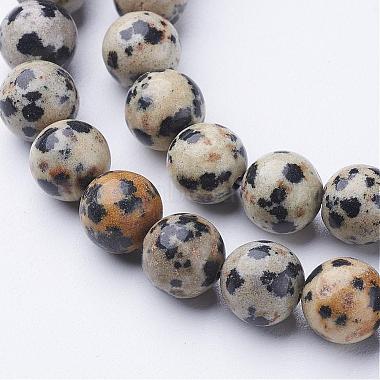 Natural Dalmatian Jasper Beads Strands(GSR004)-2