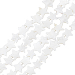 80Pcs Natural Cultured Freshwater Pearl Beads Strands, Dyed, Star, White, 9~10.5x9.5~11.5x2~3mm, Hole: 1mm(SHEL-HY0001-14)
