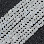 Natural Rainbow Moonstone Beads Strands, Round, Faceted, 3mm, Hole: 0.5mm, about 113pcs/strand, 15.35 inch(39cm)(G-E411-08-3mm)