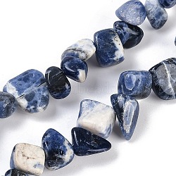 Natural Sodalite Nuggets Beads Strands, 7.5~11.5x9~13x4~6.5mm, Hole: 0.8~1mm, about 62~68pcs/strand, 14.96~15.55''(38~39.5cm)(G-B125-A18-01)